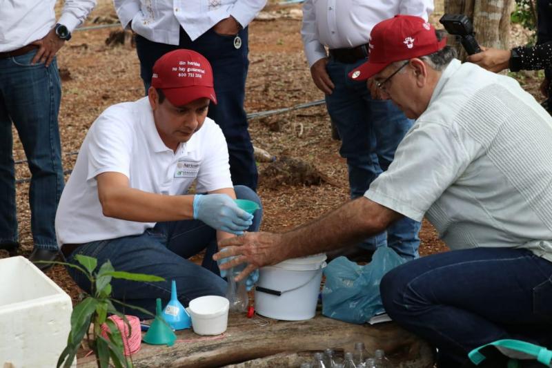 Instalan trampas para reducir la mosca del gusano barrenador