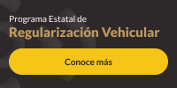 Programa Estatal de Regularización Vehicular