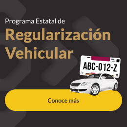 Programa Estatal de Regularización Vehicular