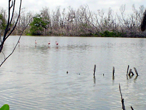 Laguna Feliz