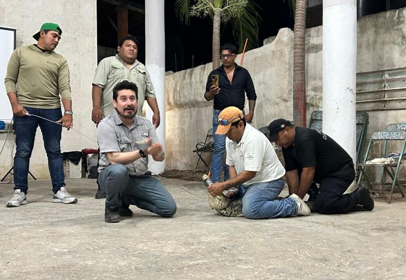 SDS capacita en Río Lagartos para el manejo seguro de cocodrilos