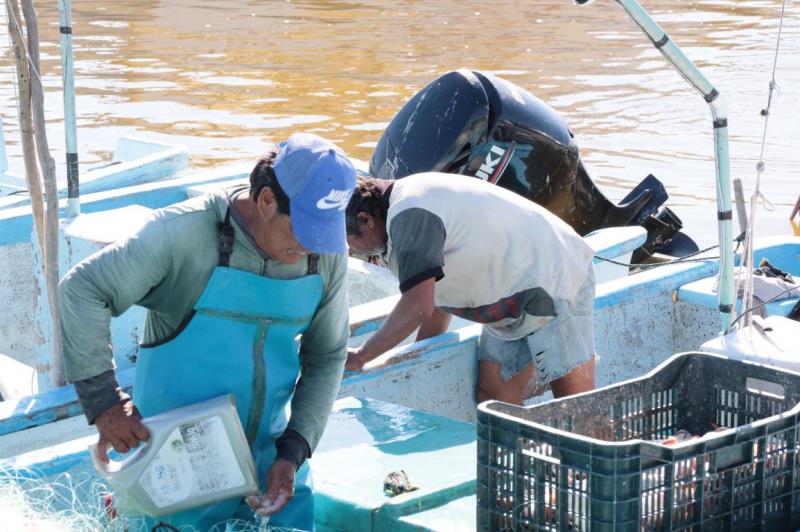 Concluye la pesca del mero e inicia la veda 2026 en Yucatán