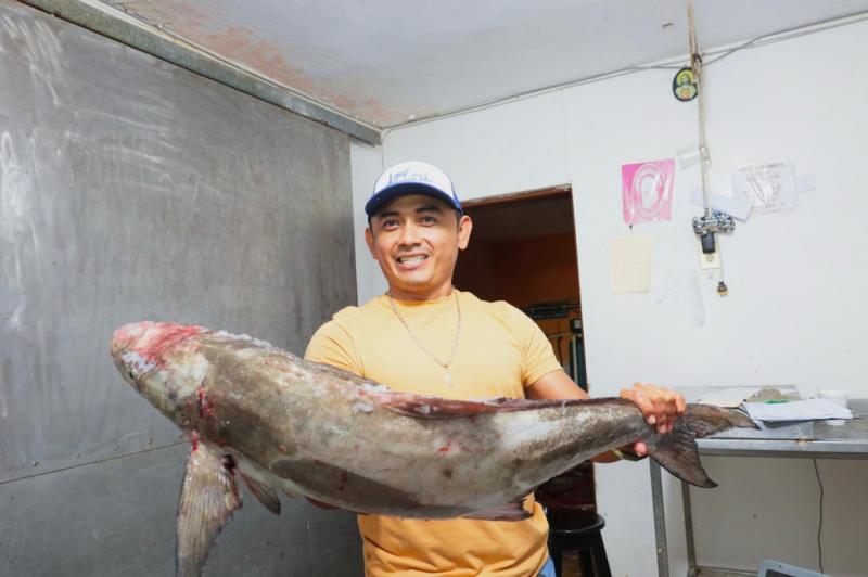 Concluye la pesca del mero e inicia la veda 2026 en Yucatán