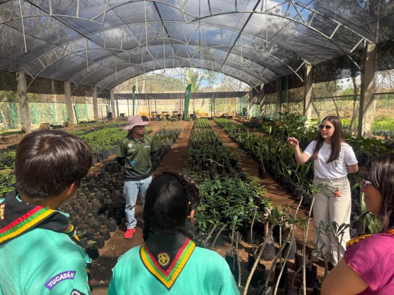 Movimiento scout trabaja a favor de la sociedad y de la naturaleza