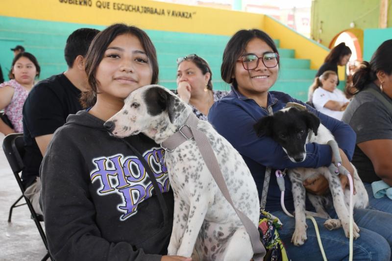 En marcha Primera Semana Nacional de Vacunación Antirrábica Canina y Felina
