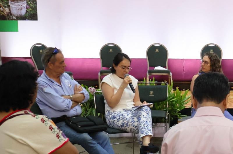 Yucatán se suma a alianza regional en favor de la selva maya