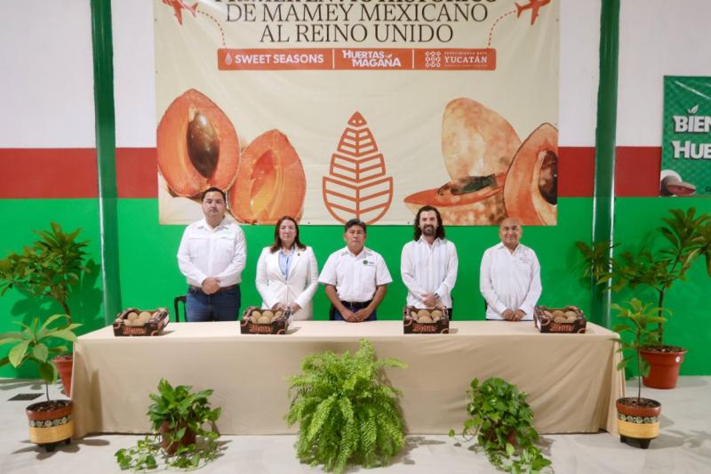 Yucatán concreta primer envío histórico de mamey al Reino Unido