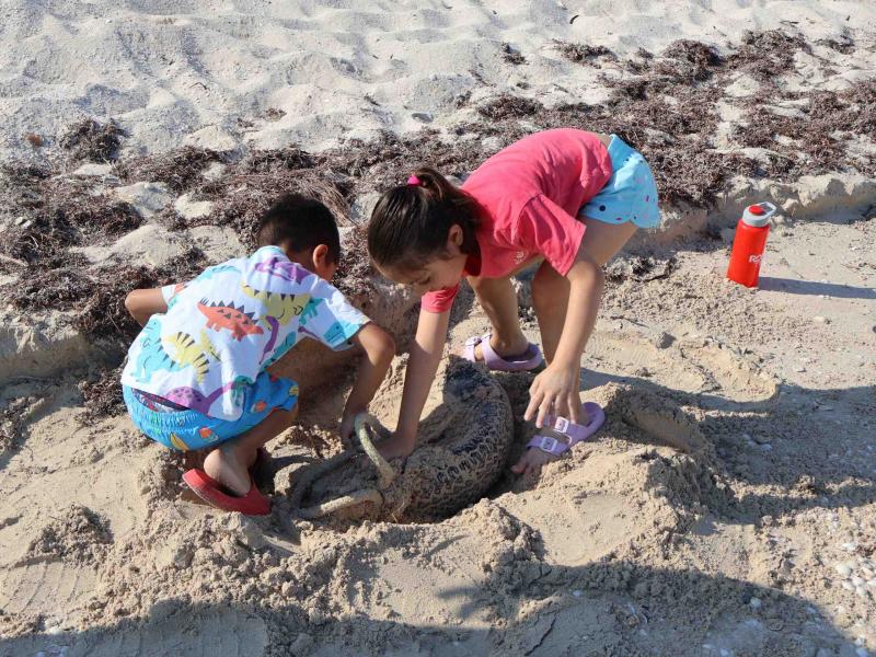 Sanean Playa Cerditos como parte del programa de limpieza costera