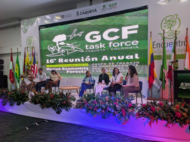 Yucatán impulsa la bioeconomía forestal y el financiamiento climático