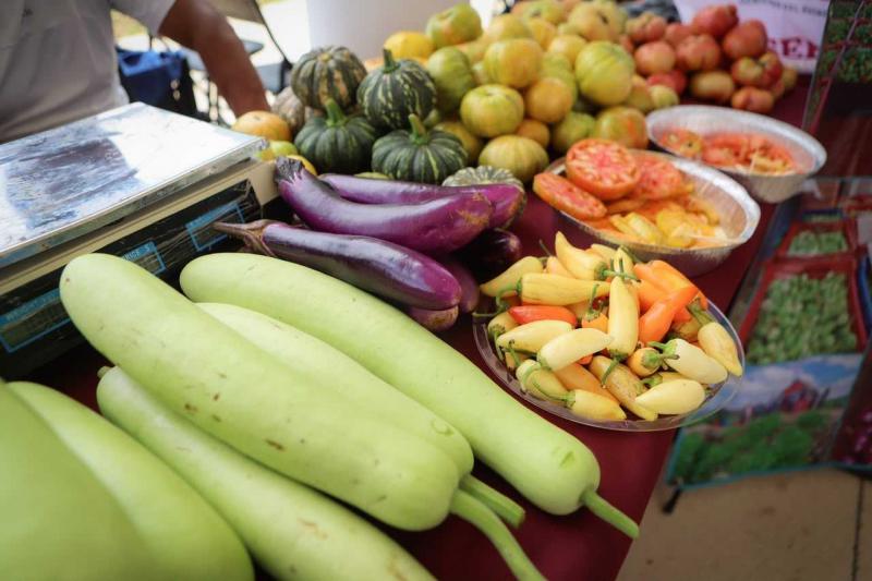 Gobernador Joaquín Díaz Mena reafirma apoyo a productoras y productores en Mercado Renacer del Campo