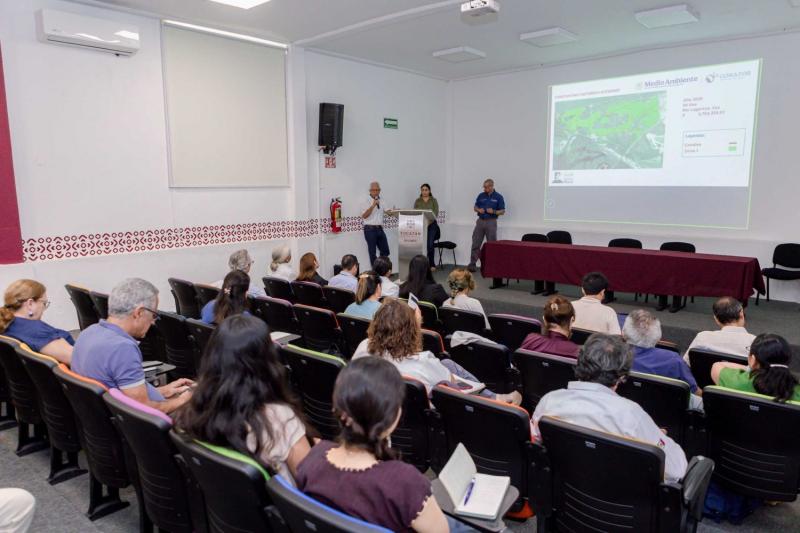 Especialistas crean red de carbono azul para conservar ecosistemas costeros