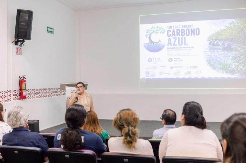 Especialistas crean red de carbono azul para conservar ecosistemas costeros