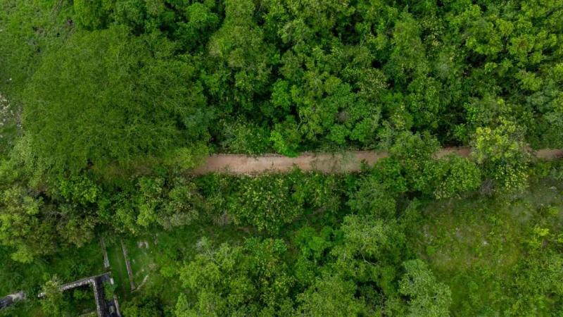 Renacimiento Maya fortalece cadena productiva con infraestructura rural