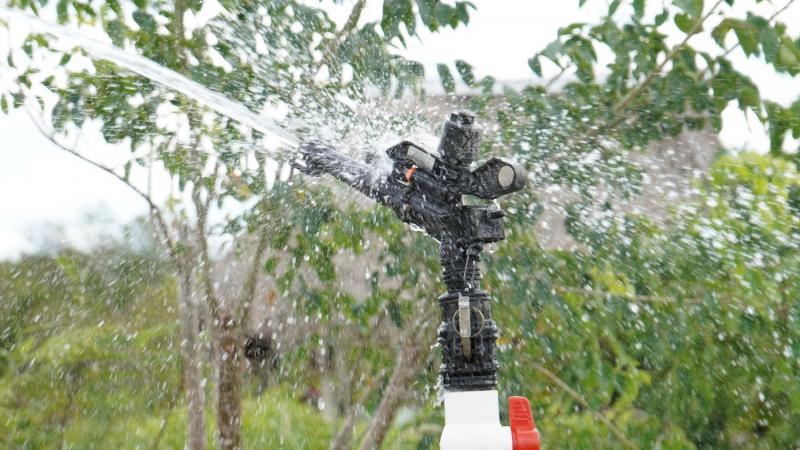 Sistema de riego con paneles solares mejora producción agrícola en Motul