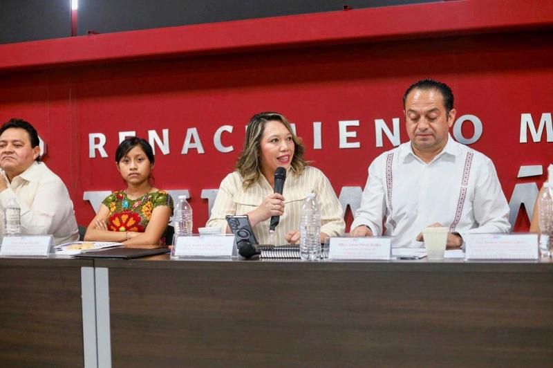 Consejo Consultivo de Niñas, Niños y Adolescentes participa por primera vez en sesión del Sipinnay