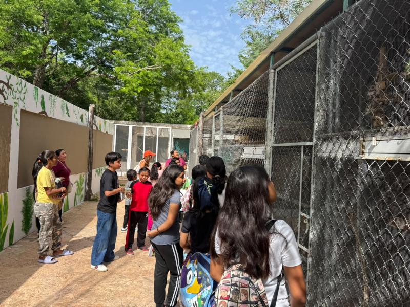 Niñas y niños viven experiencia ambiental en el Parque Yu’um Tsil