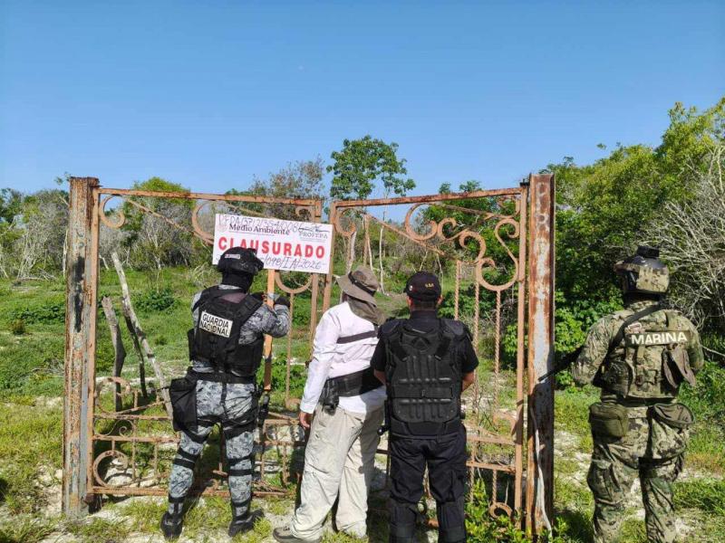 Profepa clausura 17 polígonos en la Reserva de la Biosfera Ría Celestún