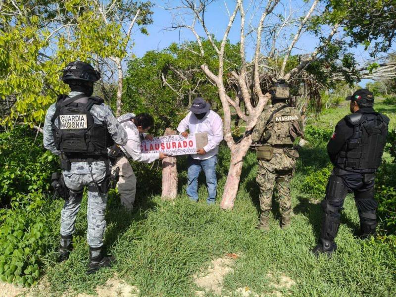 Profepa clausura 17 polígonos en la Reserva de la Biosfera Ría Celestún