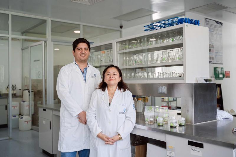 Especialistas mundiales en biotecnología se reunirán en Yucatán