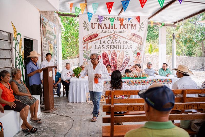 Comunidades y juventudes de Dzitás crean banco comunitario de semillas nativas