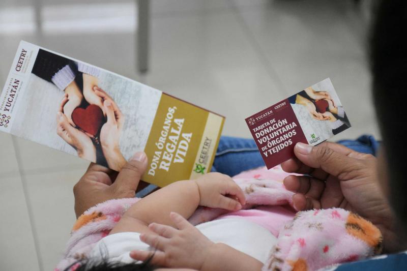 Experiencia de Yucatán en donación y trasplantes genera evidencia científica para México