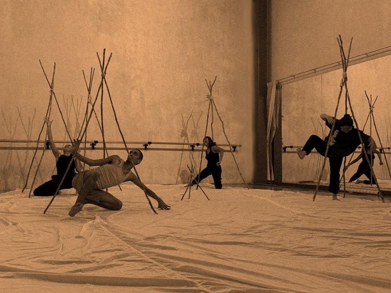 UNAY estrenará una obra sobre la riqueza de los manglares
