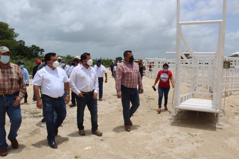 Ganaderos del oriente de Yucatán estrenan instalaciones para manejo de bovinos