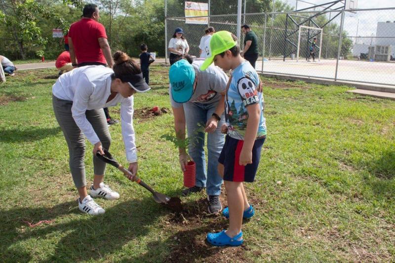 Con el programa "Arborizando Yucatán" se han distribuido y plantado más de 900 mil árboles en 97 municipios