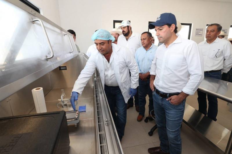 Inaugura el Gobernador Mauricio Vila Dosal el primer Centro Integral de Mejoramiento Genético del Sureste del país altamente equipado para poder exportar productos a todo el mundo