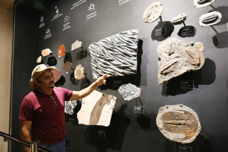 Museo del Meteorito y Casa Manzanero, guardianes de identidad cultural y conocimiento 