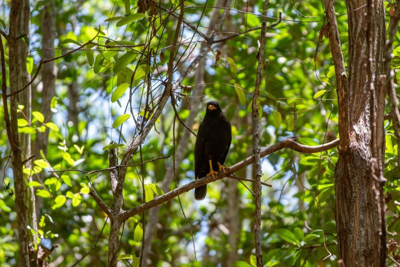 El gobierno de Joaquín Díaz Mena impulsará a Dzilam de Bravo como destino ecoturístico