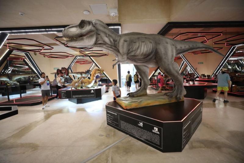 Museo del Meteorito celebra tercer aniversario con actividades para toda la familia